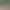 26 серпня в урочищі Бір, на території регіонального ландшафтного парку «Червонооскільський», що поблизу бази відпочинку "Блакитна хвиля" в селі Підлиман, працівники Борівського лісництва Куп'янського лісгоспу виявили самовільний поруб дерев різних порід.   