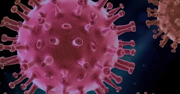На Харківщині циркулює британський штам SARS-CoV-2, він підтвердився у жителів Борівської громади, де в лютому зареєстрували стрімке зростання захворюваності на коронавірус, та у жителів м. Харкова.