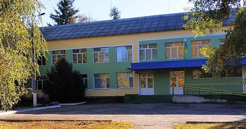 Опорний заклад "Борівський ліцей" Борівської селищної ради працює в онлайн режимі. https://www.facebook.com/groups/1962296257389539/
