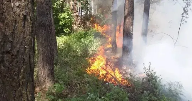 Світлина — ГУ ДСНС України в Харківській області Нічний обстріл Борівської ОТГ обійшовся без постраждалих на порталі Gromada Group