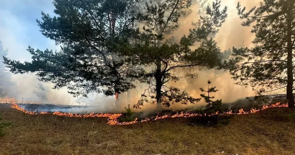 Світлини — ГУ ДСНС України у Харківській області З восьми пожеж Харківщини дві бушують на Борівщині: на порталі Gromada Group