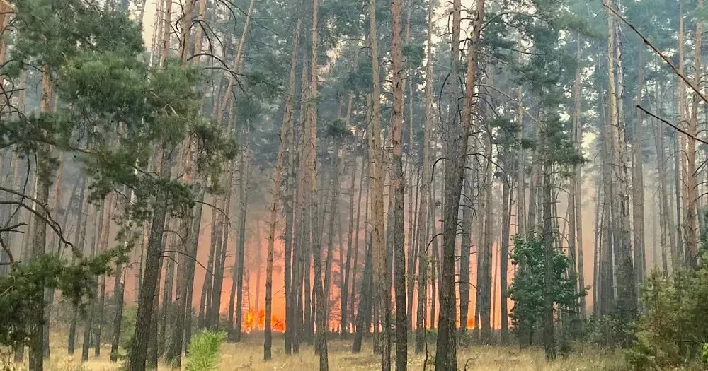 Світлини — ГУ ДСНС У в ХО та ГУНП в ХО Минула доба була спокійною для Борівщини, але в деяких інших громадах було «гучно» на порталі Gromada Group