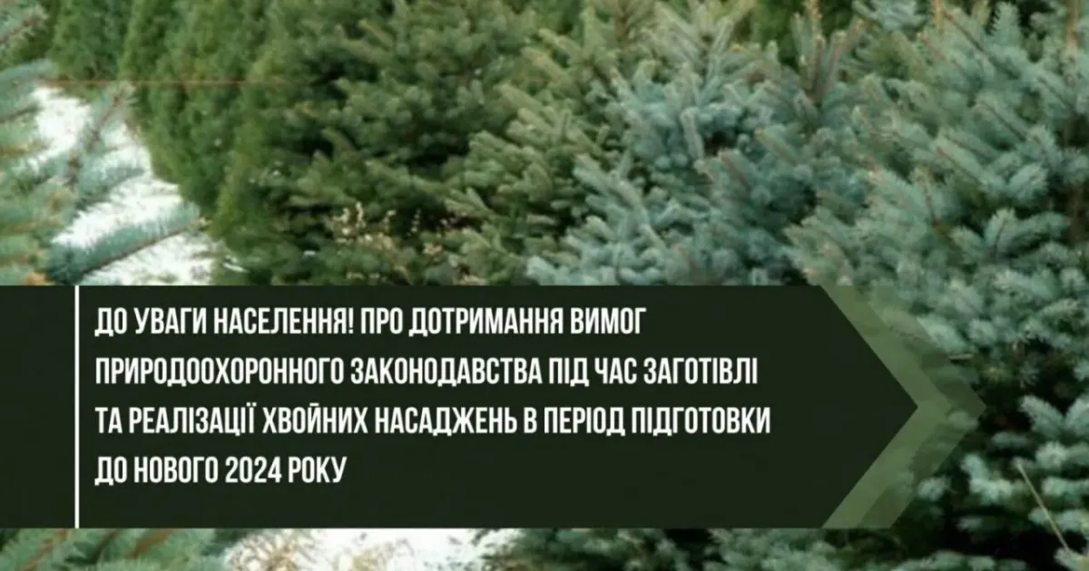 Охорона лісових насаджень: як зберегти ліс Про дотримання вимог природоохоронного законодавства під час заготівлі та реалізації хвойних насаджень в передноворічний період